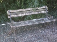 /album/galerie-de-photos-page-daccueil/sunp00392-jpg/